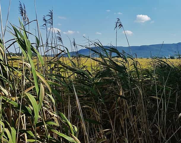 Centre de la Nature du Mont Saint-Hilaire