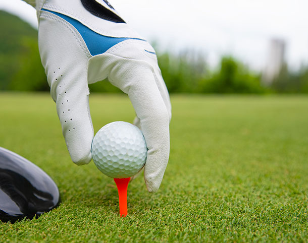Club De Golf Express - La Prairie Club De Golf Express - La Prairie