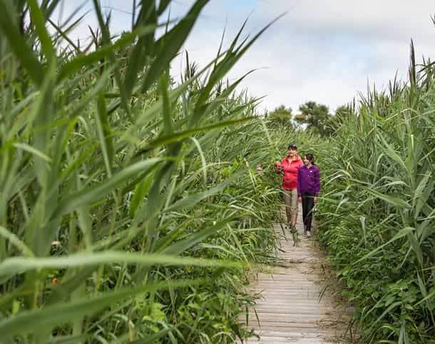 Parc National des Îles-de-Boucherville