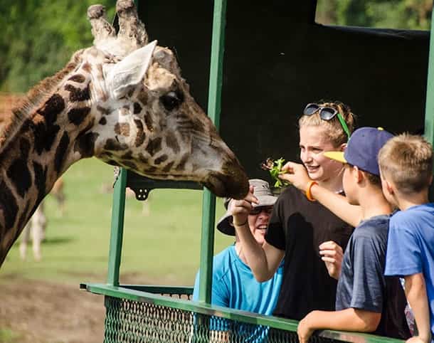 Parc Safari